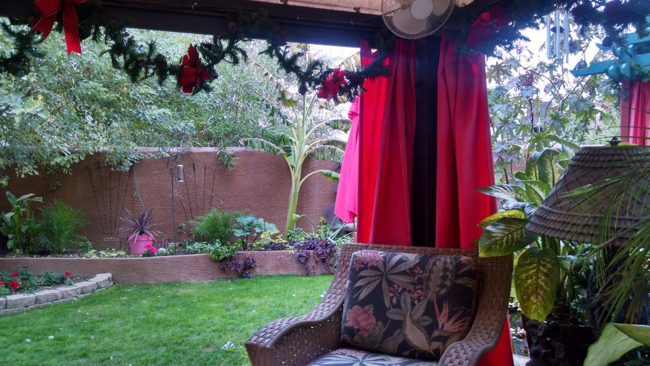 Don'S Elegante Bed & Breakfast Phoenix Exteriér fotografie