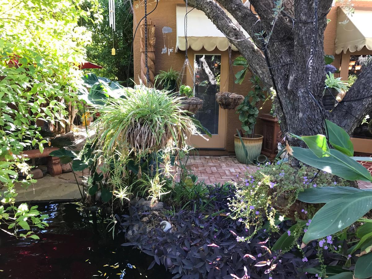 Don'S Elegante Bed & Breakfast Phoenix Exteriér fotografie